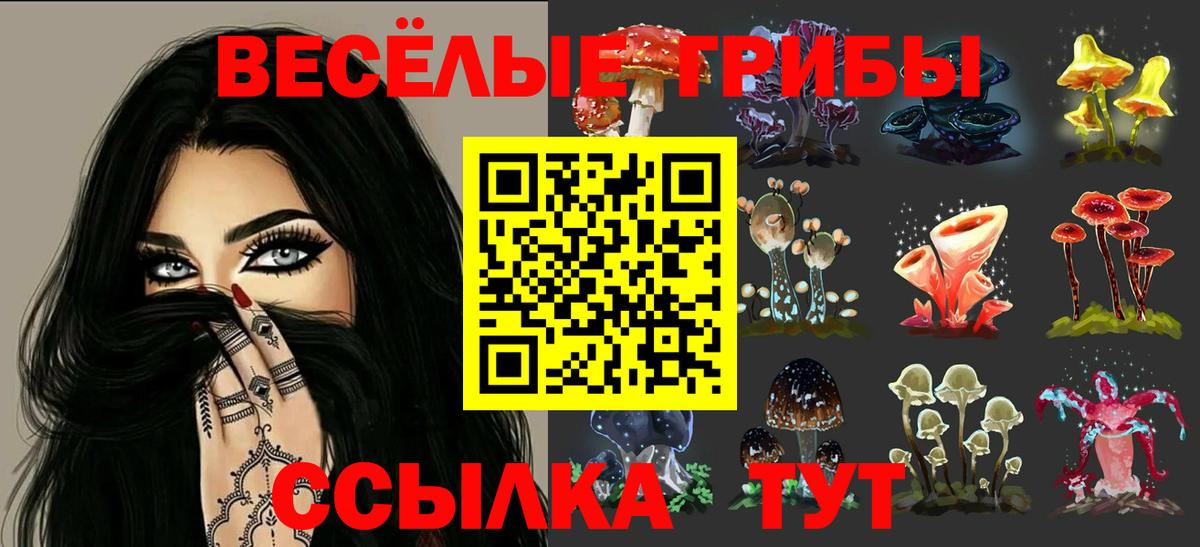 Псилоцибиновые грибы MAGIC MUSHROOMS Усолье-Сибирское