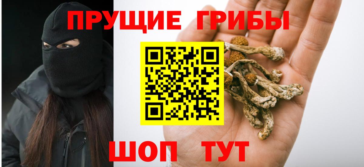 Галлюциногенные грибы Magic Shrooms  Вход с VPN  Усолье-Сибирское 